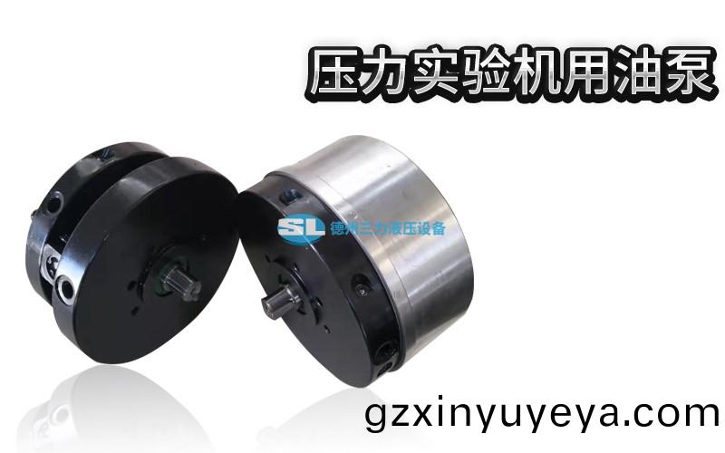 壓(ya)力(li)實驗機(ji)用(yong)油(you)泵(beng) (1).jpg