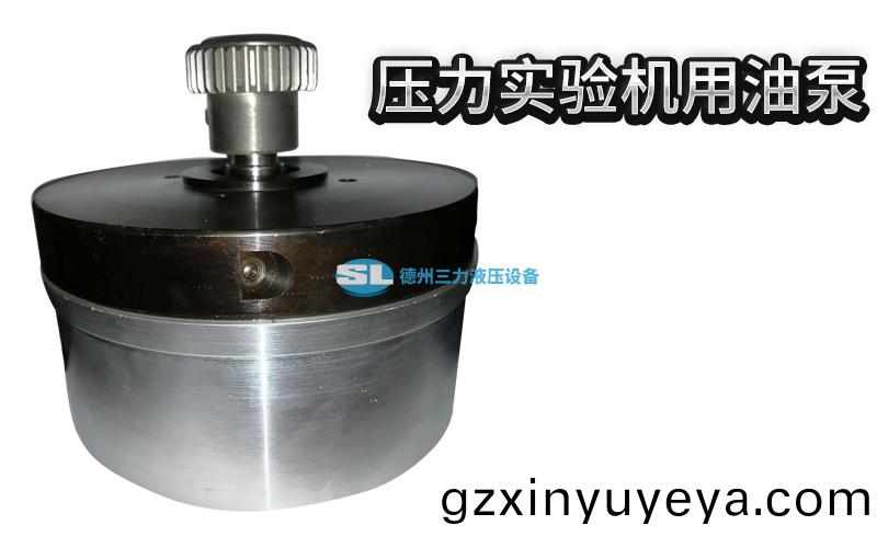 壓力實(shi)驗(yan)機(ji)用油(you)泵 (2).jpg